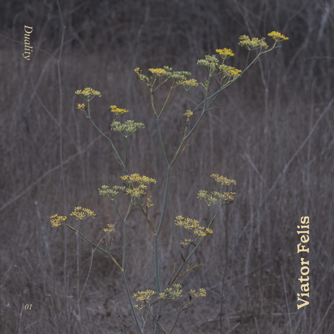 Apple Music playlist cover