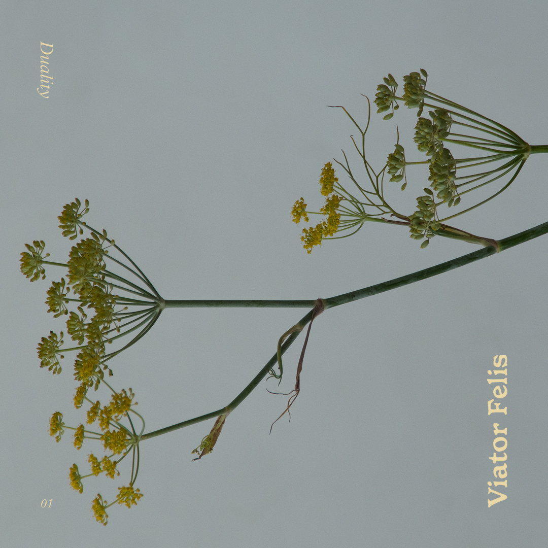 Spotify playlist cover