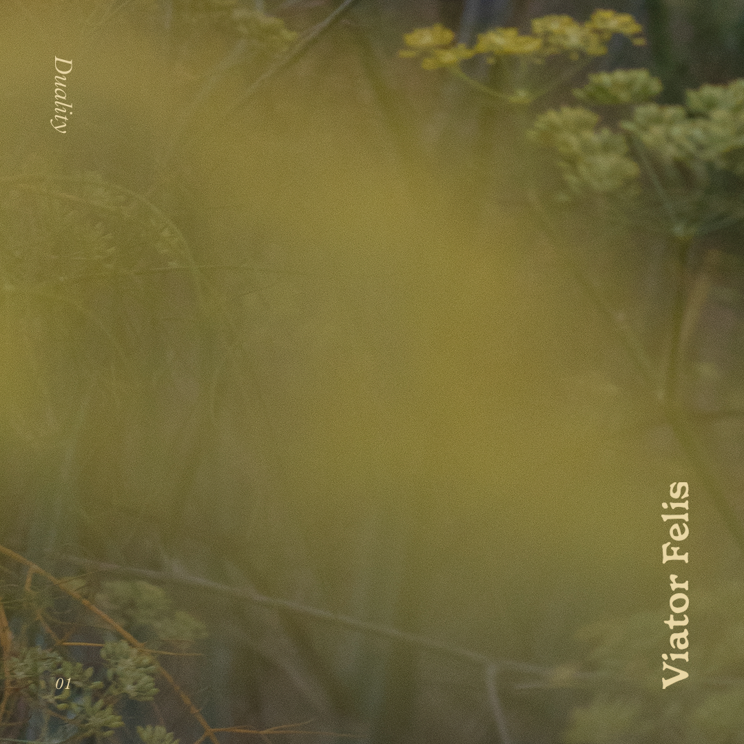 YouTube playlist cover